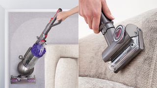 Dyson DC65 Animal de segunda mano con turbina | $190 | Amazon